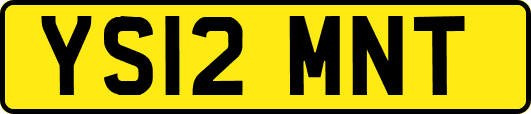 YS12MNT