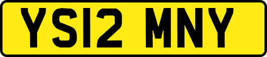 YS12MNY