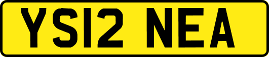 YS12NEA