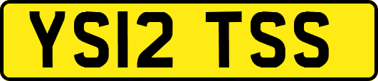 YS12TSS