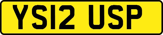 YS12USP