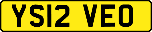 YS12VEO