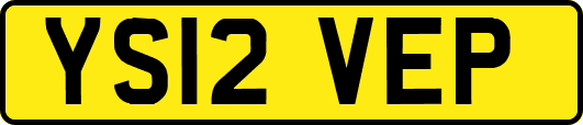 YS12VEP