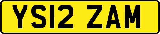YS12ZAM