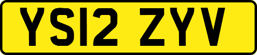 YS12ZYV