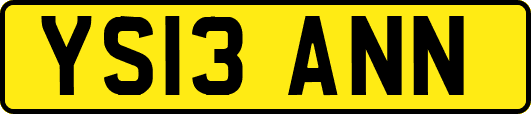 YS13ANN