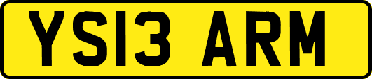 YS13ARM