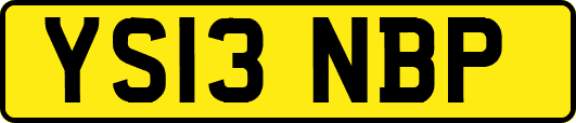 YS13NBP