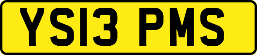 YS13PMS