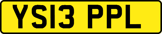 YS13PPL