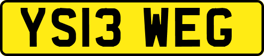 YS13WEG
