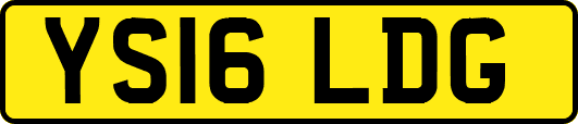 YS16LDG
