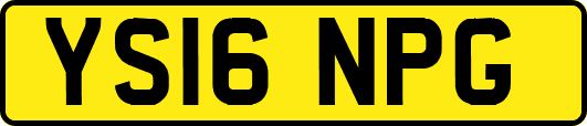 YS16NPG