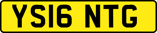YS16NTG