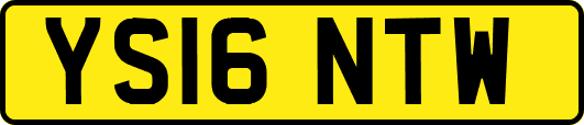 YS16NTW