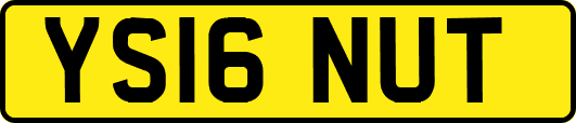 YS16NUT