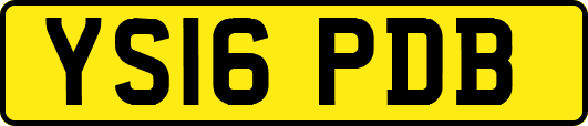 YS16PDB