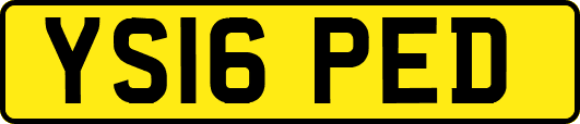 YS16PED