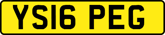 YS16PEG