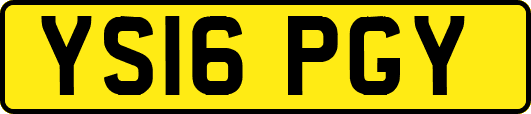 YS16PGY