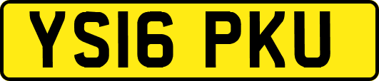 YS16PKU
