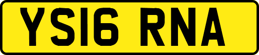 YS16RNA