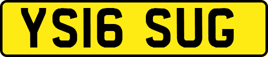 YS16SUG
