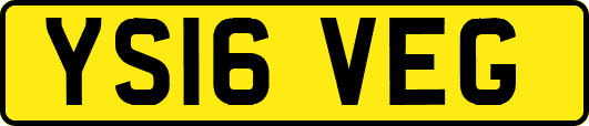 YS16VEG