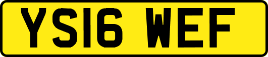 YS16WEF