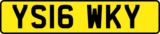 YS16WKY