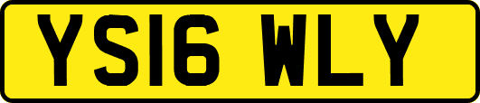 YS16WLY
