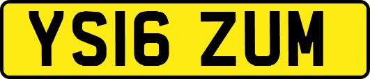 YS16ZUM