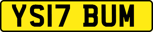 YS17BUM