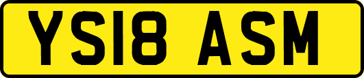 YS18ASM