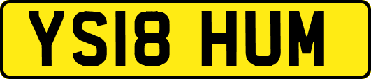YS18HUM