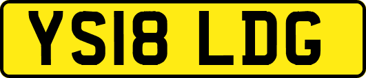 YS18LDG