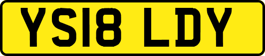 YS18LDY