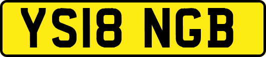 YS18NGB