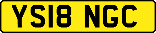 YS18NGC