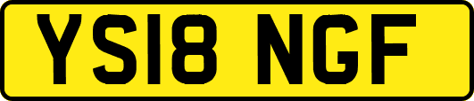 YS18NGF