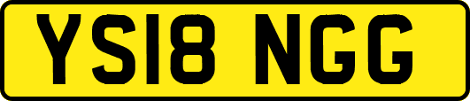 YS18NGG