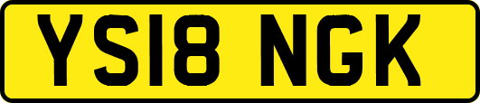YS18NGK