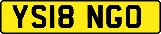 YS18NGO