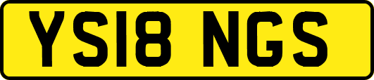 YS18NGS