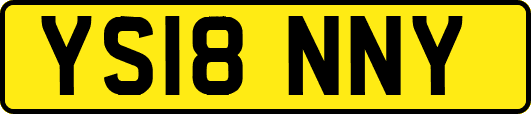YS18NNY