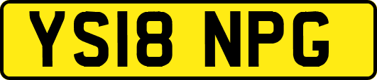 YS18NPG