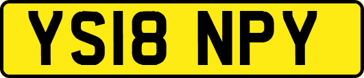 YS18NPY
