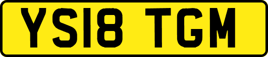 YS18TGM