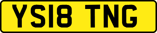 YS18TNG