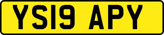 YS19APY
